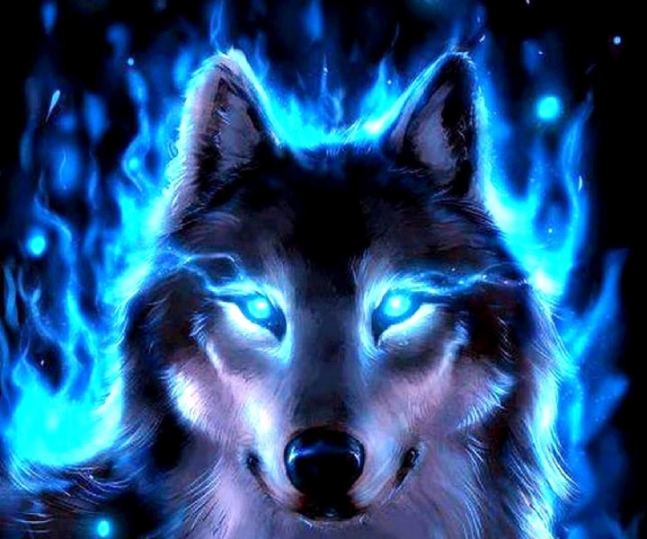 wolf