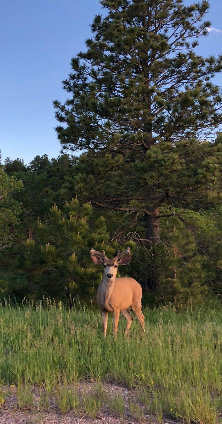 Monument, Colorado