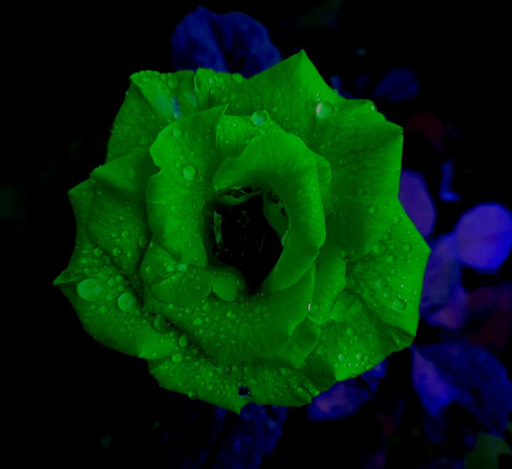 dark green....