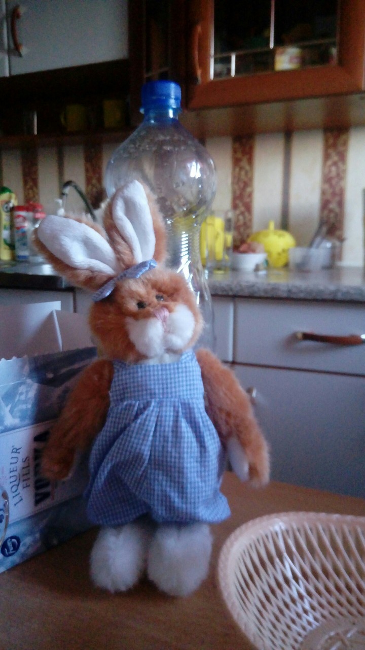 easter bunny