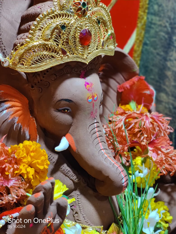 eco-friendly Bappa ⭐⭐⭐⭐⭐?