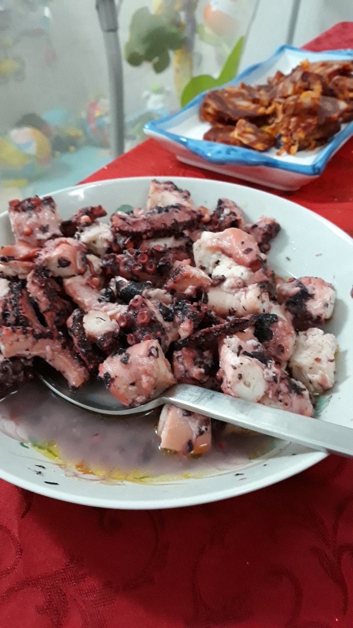 Palpo