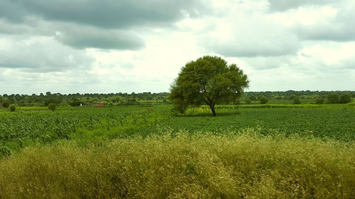 farm