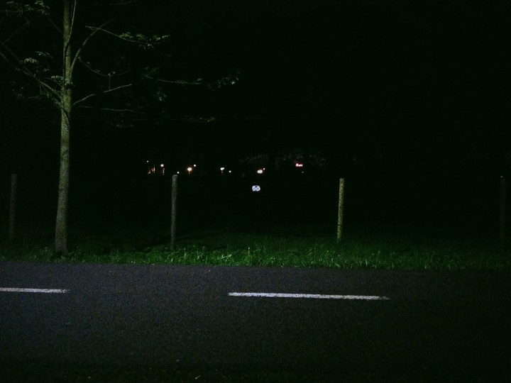 night