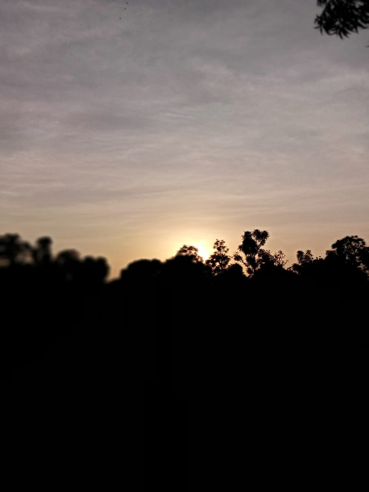 Nature is love