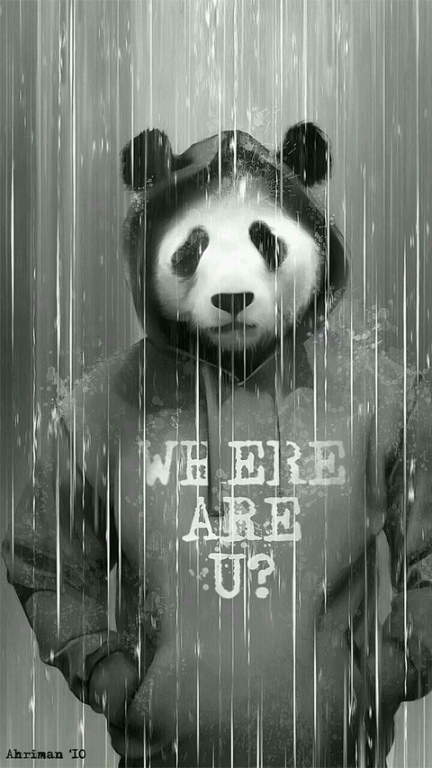 Animal