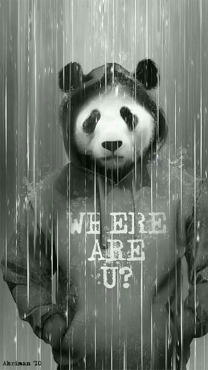 Animal