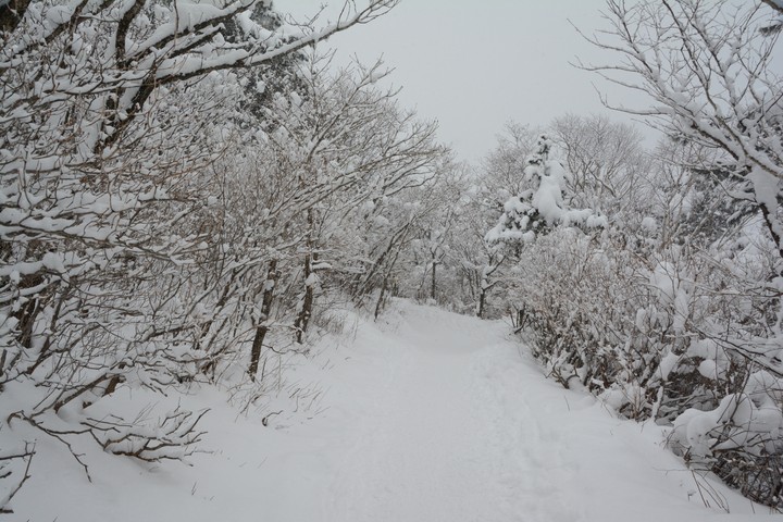 태백산이미지