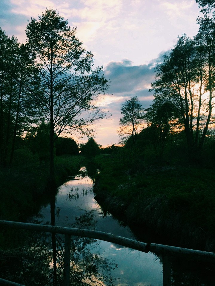 nature