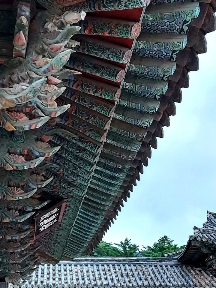 불국사에서