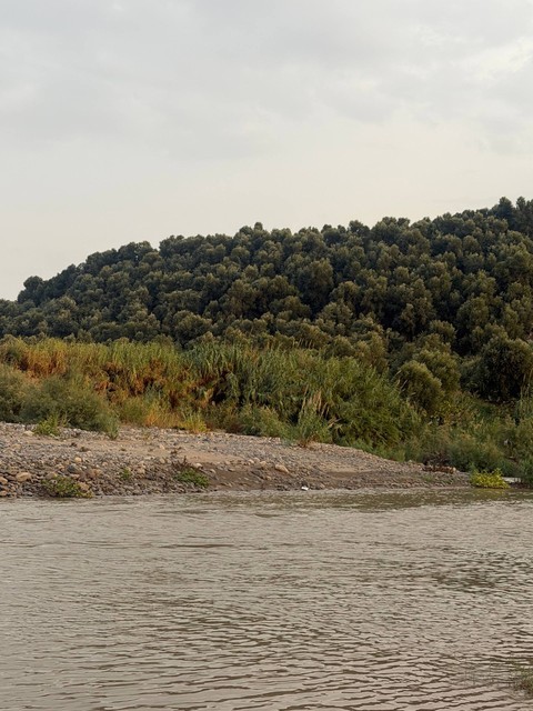 tapety wetland, river