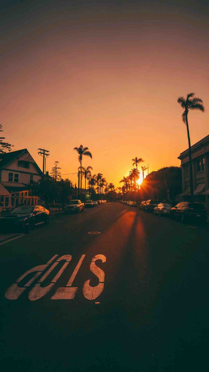 sunset