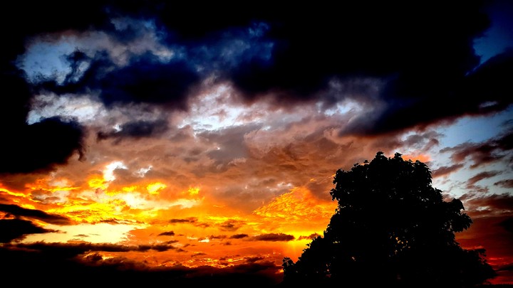 vivid sunset