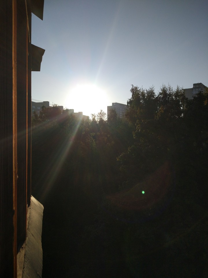 morning