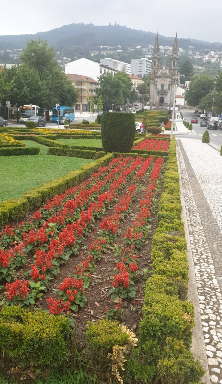 Portugal ?? Nature #7