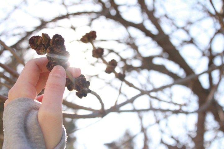Spring