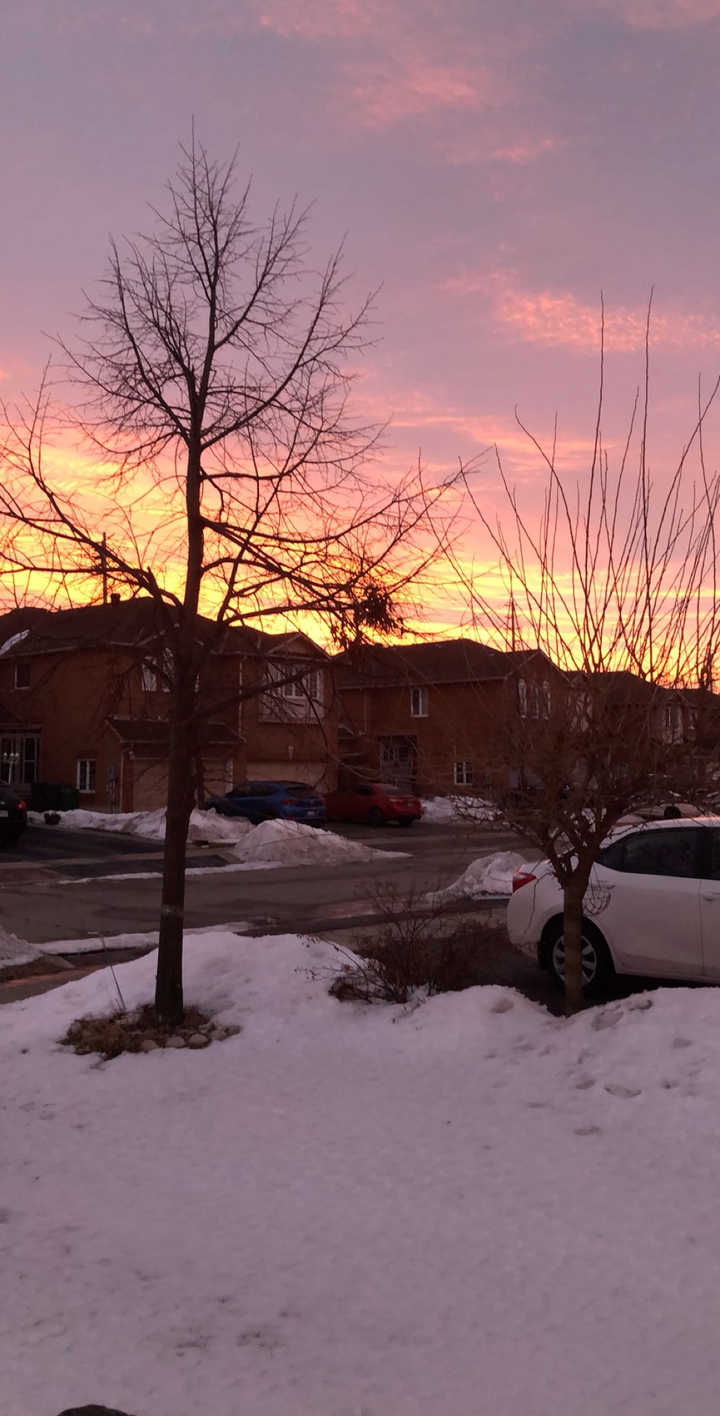 Sunset In Snow