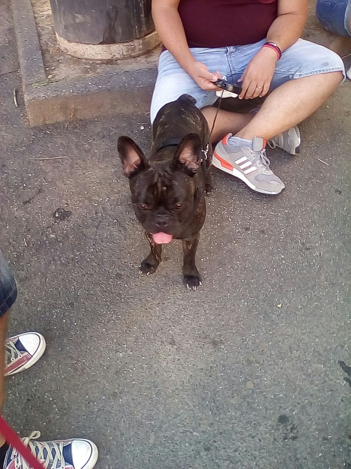 Toretto