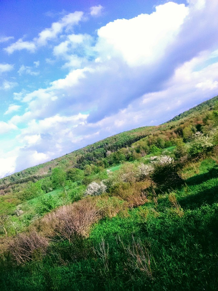 Sunday afternoon