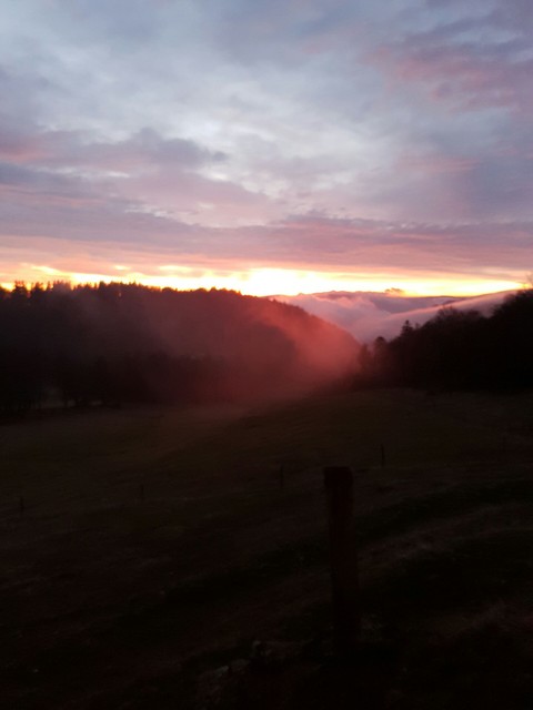 swissview