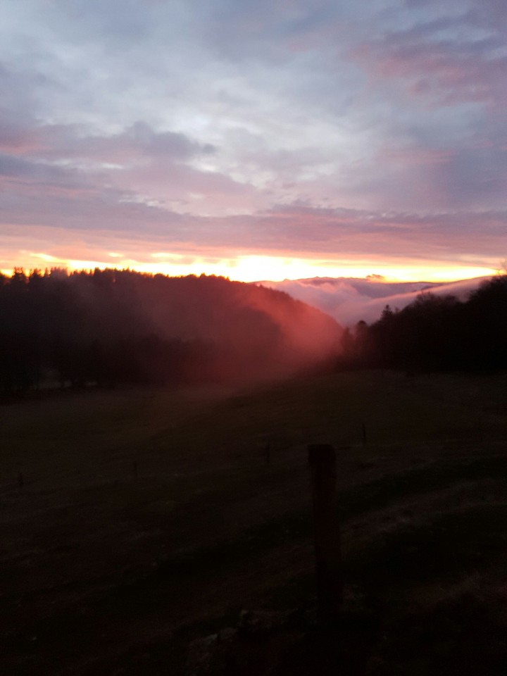 swissview