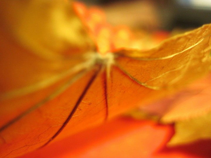 fall