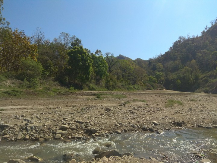 Nature