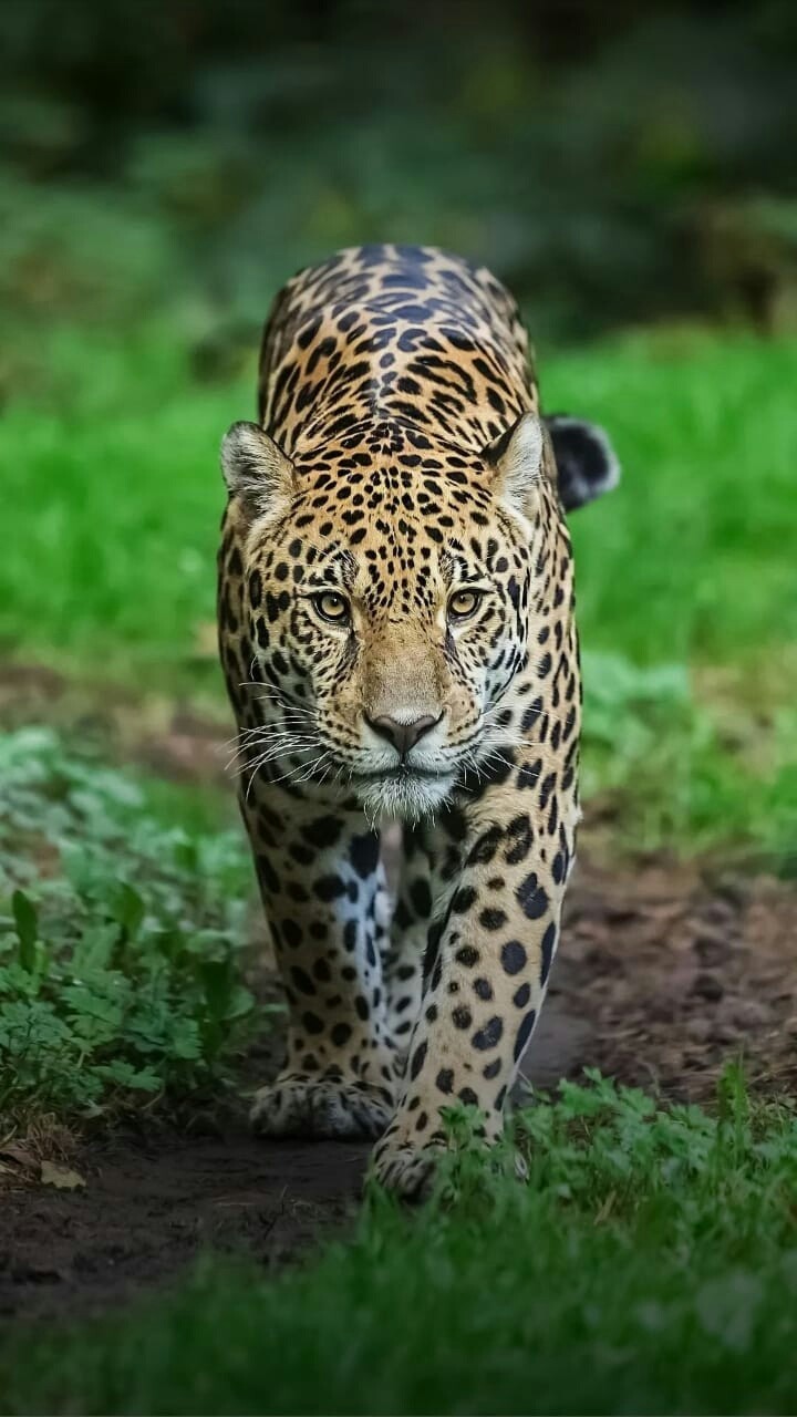 ?