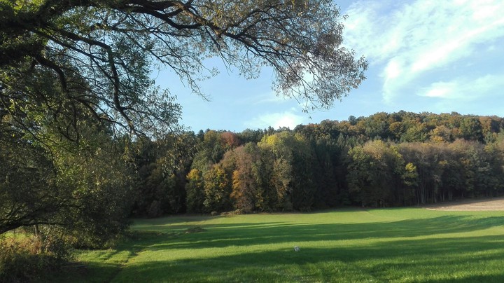 Septemberwood