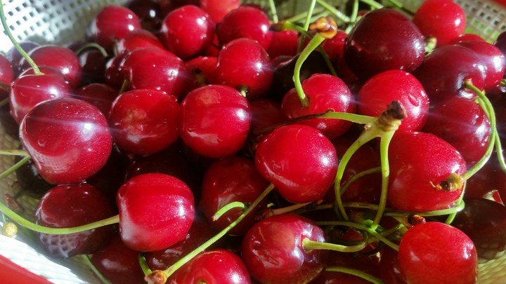 cherry