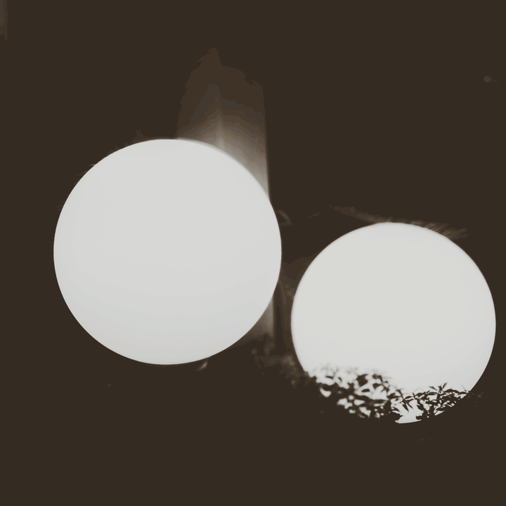 The Moon on  the Earth