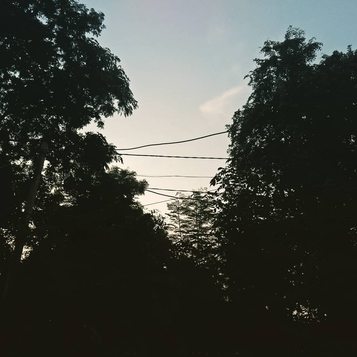 morning