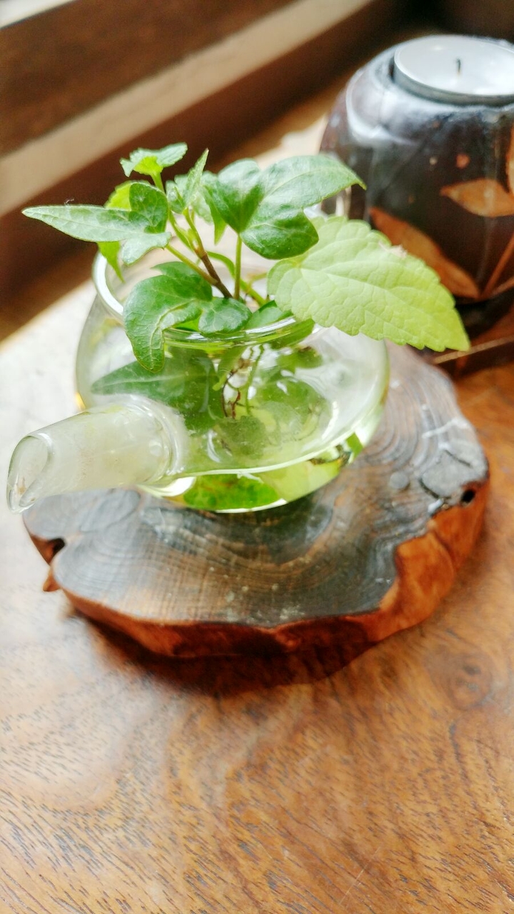봄,차