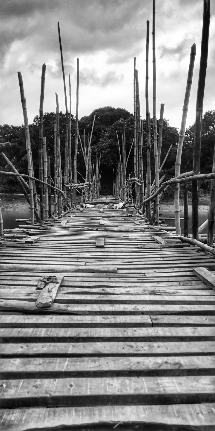 the bridge