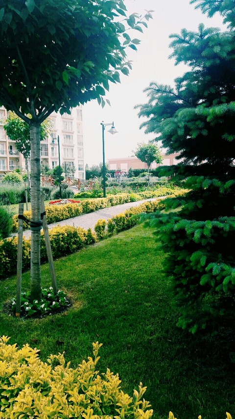 Yeşil Aşkına