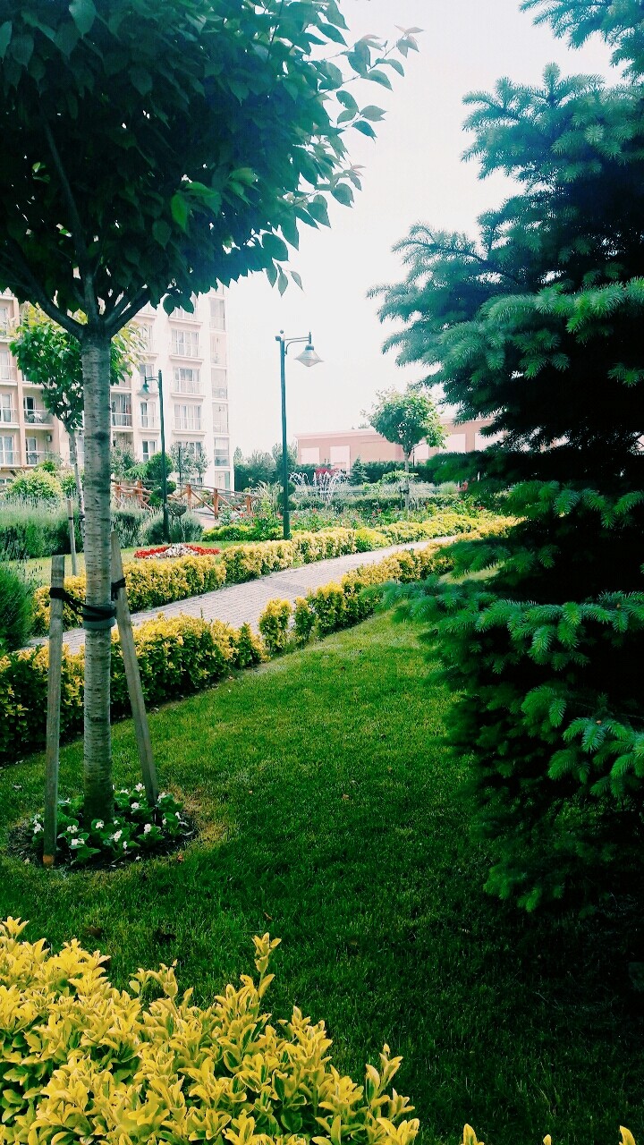 Yeşil Aşkına