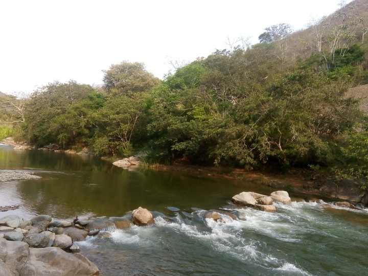 la naturaleza