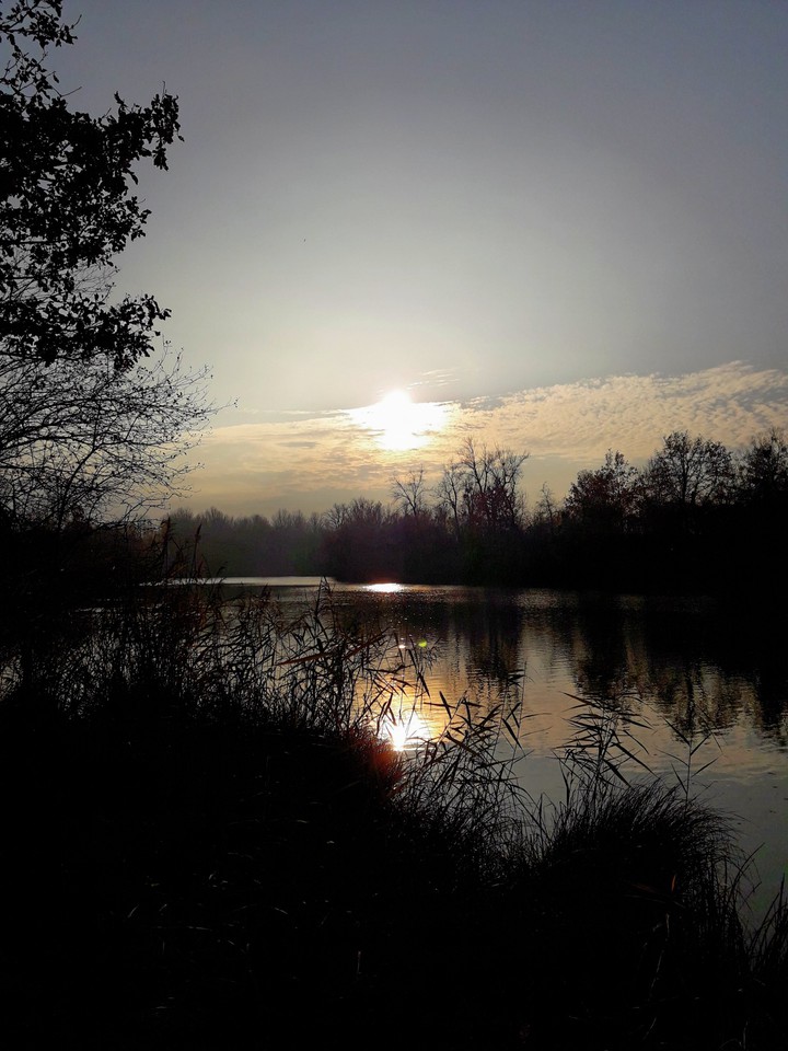 waldsee