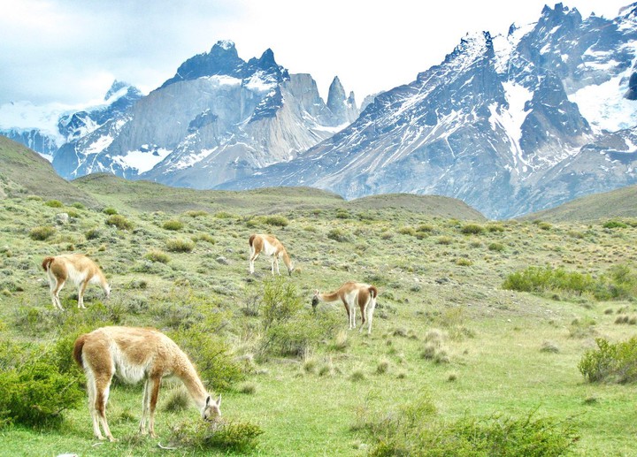 Chile