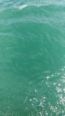 sailing