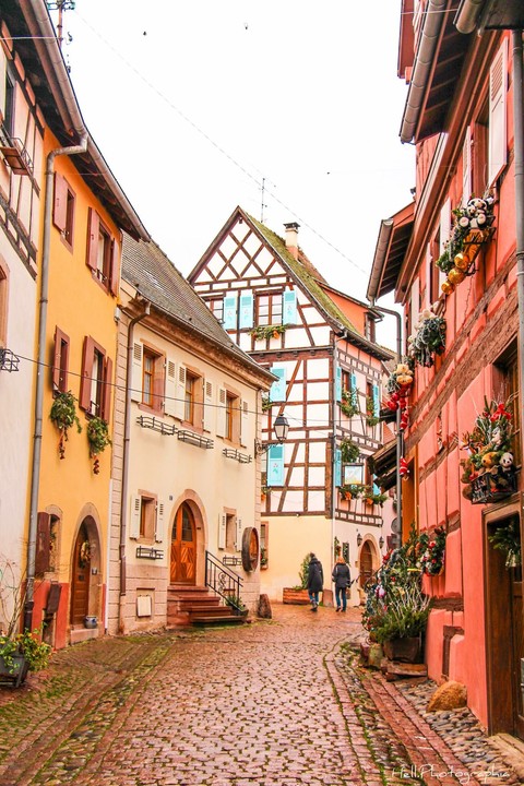 alsace