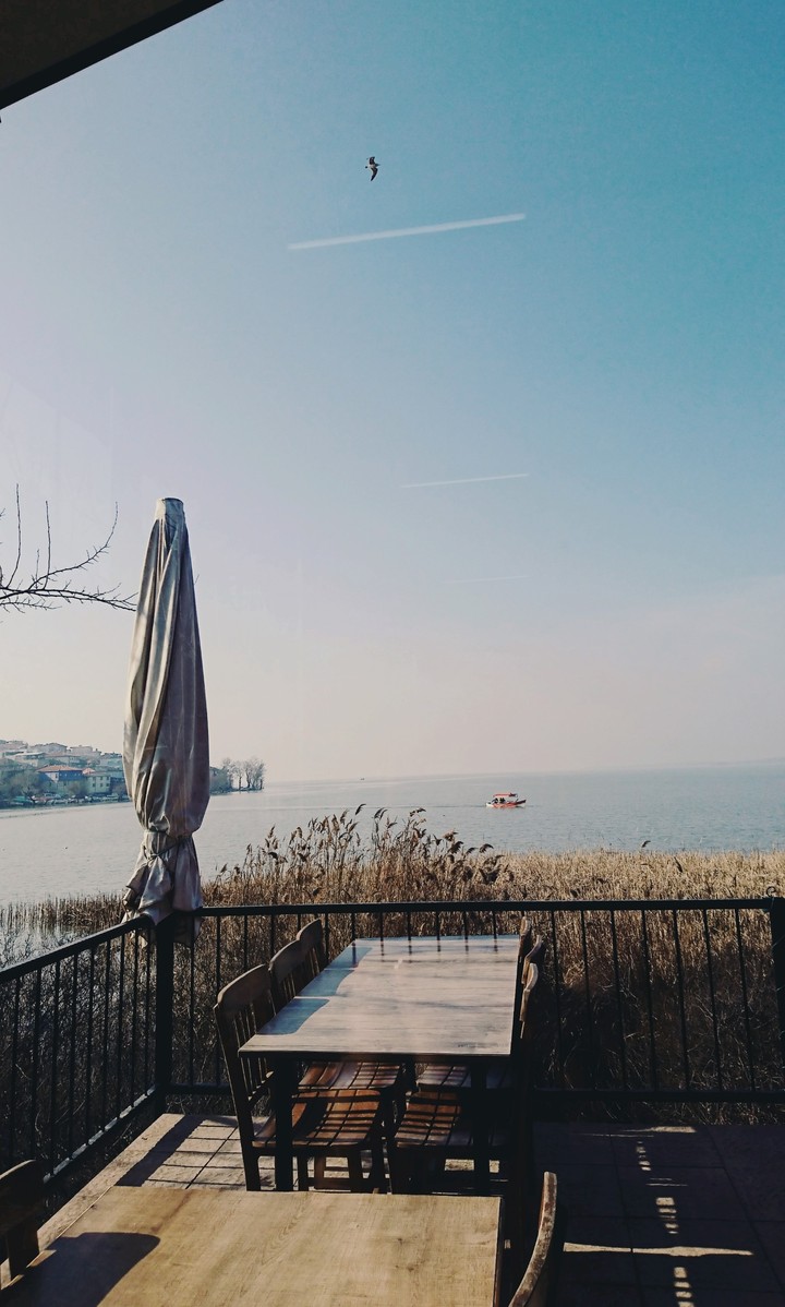 inTURKEY