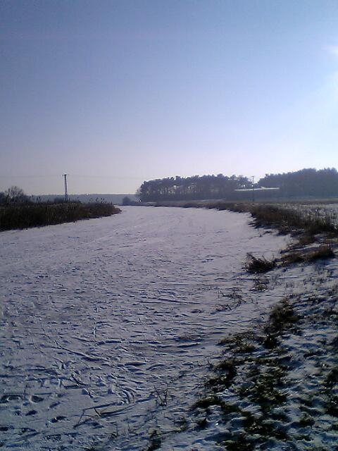 Am Aland bei Seehausen