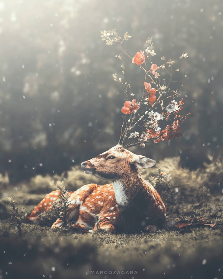 Creative art illustration