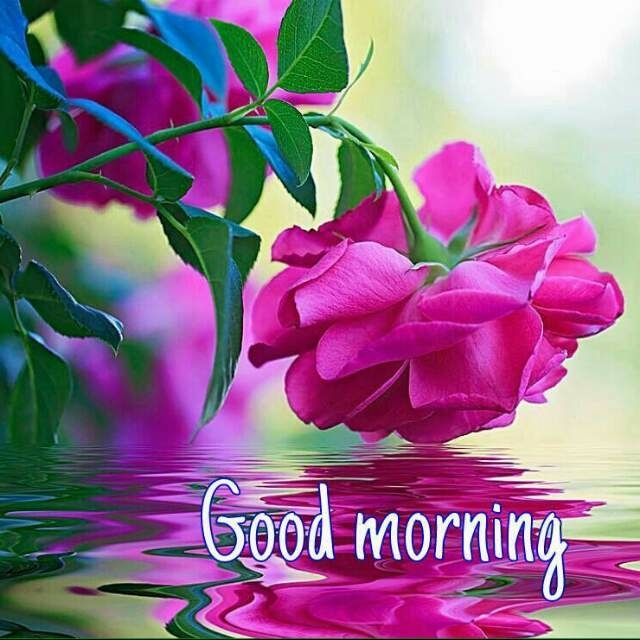 Good morning