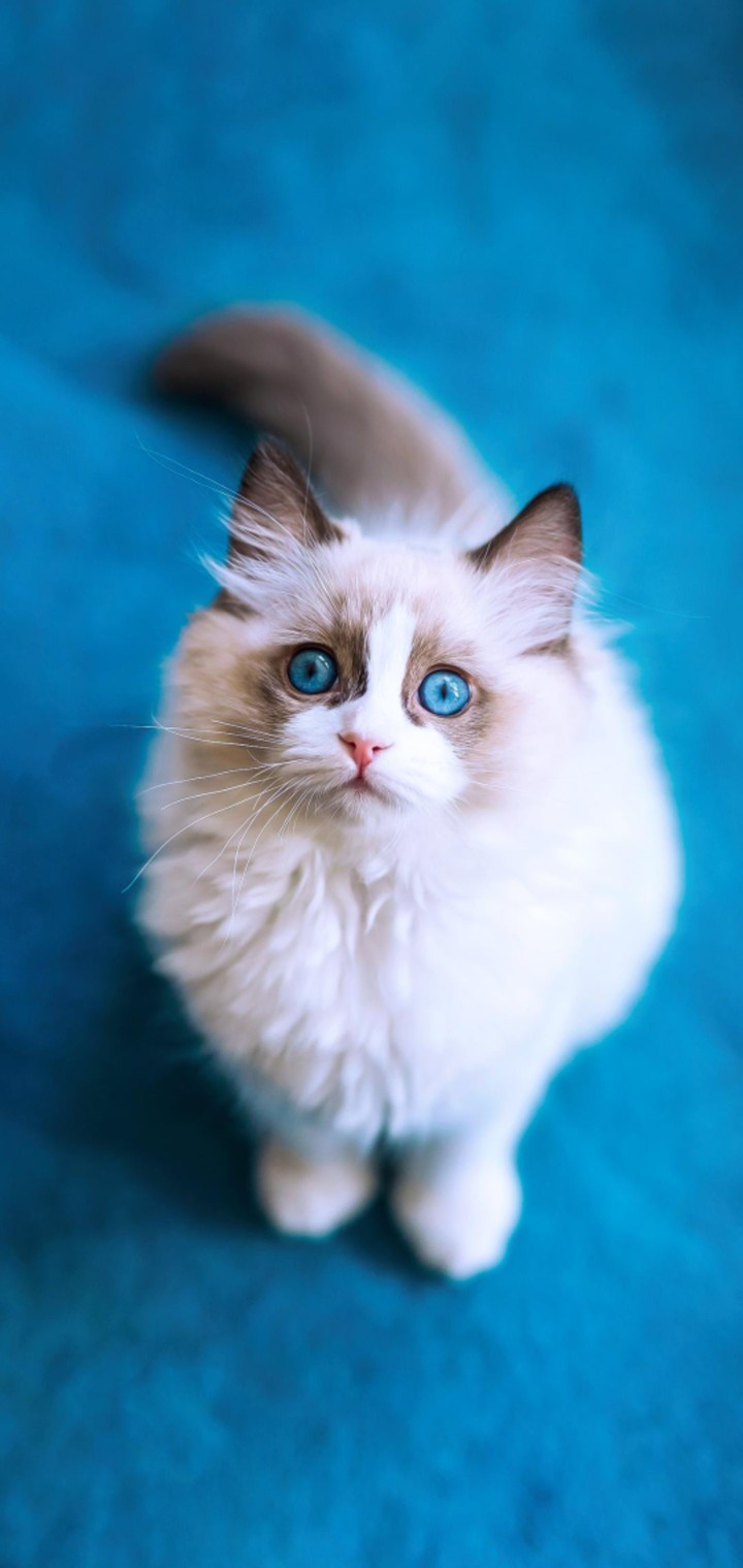 #blue eyes