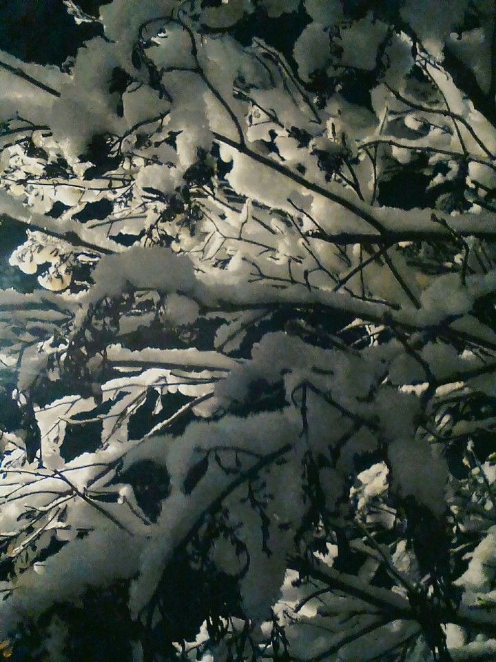 First night with snow
