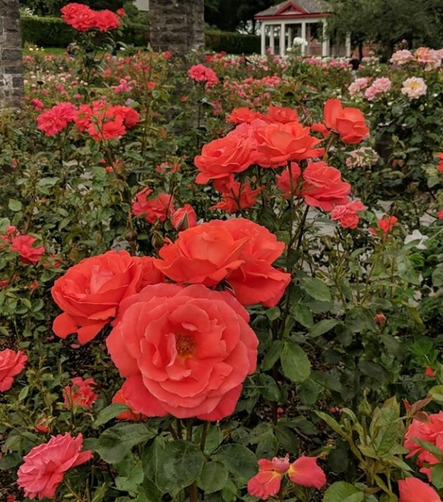 Botanical garden