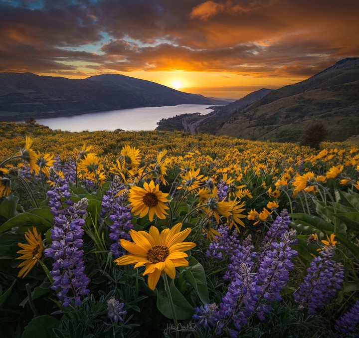amanhecer