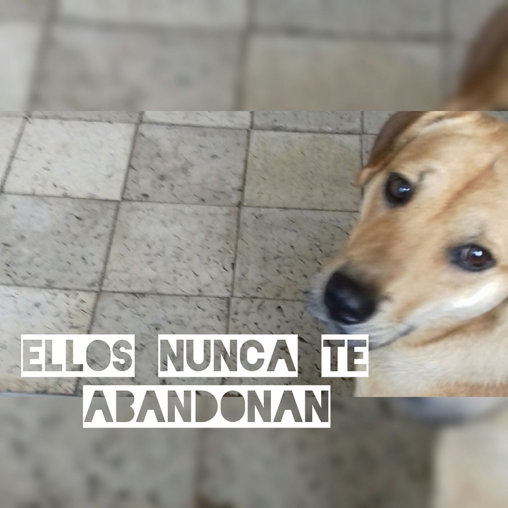 reflexiones de vida